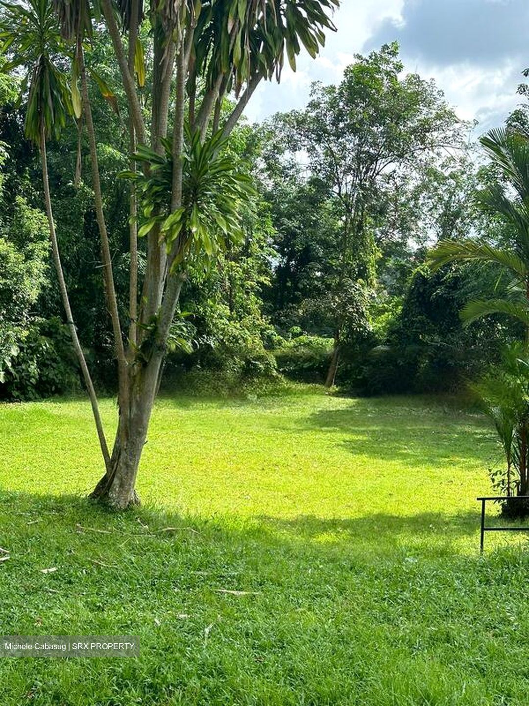Mount Pleasant Road (D11), Detached #439402571